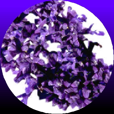 Ormus Minerals Magnesium Oil with Lavender Oil